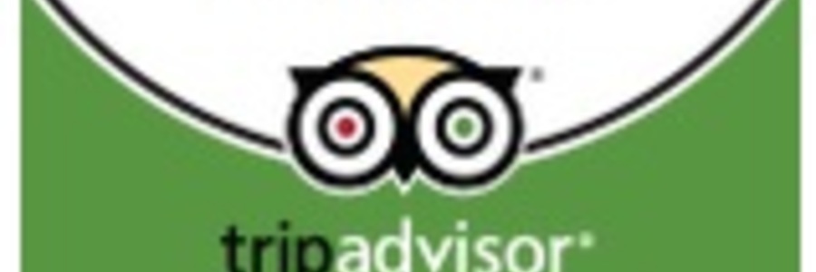 Tripadvisor 2015